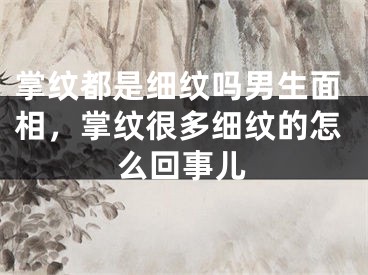 掌纹都是细纹吗男生面相，掌纹很多细纹的怎么回事儿