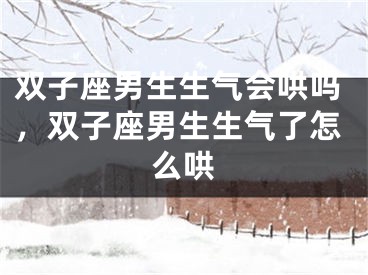 双子座男生生气会哄吗，双子座男生生气了怎么哄