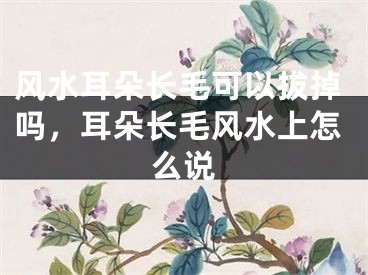 风水耳朵长毛可以拔掉吗，耳朵长毛风水上怎么说