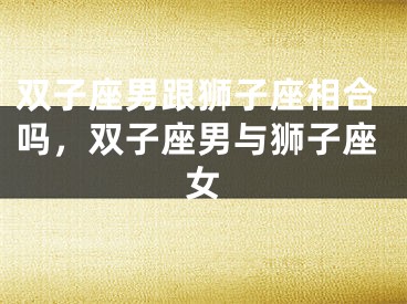 双子座男跟狮子座相合吗，双子座男与狮子座女