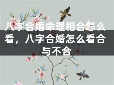 八字合婚命理相合怎么看，八字合婚怎么看合与不合
