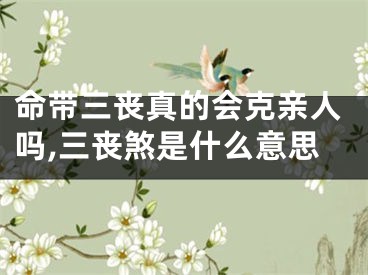 命带三丧真的会克亲人吗,三丧煞是什么意思