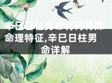 辛巳日柱男命有何特殊命理特征,辛巳日柱男命详解