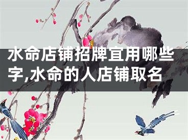 水命店铺招牌宜用哪些字,水命的人店铺取名