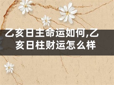 乙亥日主命运如何,乙亥日柱财运怎么样