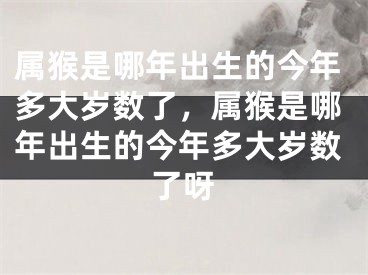 属猴是哪年出生的今年多大岁数了，属猴是哪年出生的今年多大岁数了呀