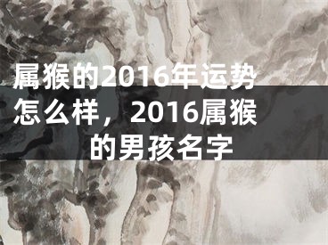 属猴的2016年运势怎么样,2016属猴的男孩名字