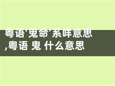 粤语‘鬼命’系咩意思,粤语 鬼 什么意思