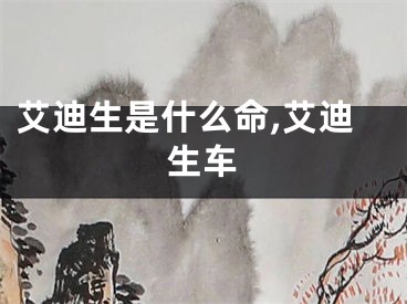 艾迪生是什么命,艾迪生车