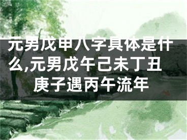 元男戊申八字具体是什么,元男戊午己未丁丑庚子遇丙午流年