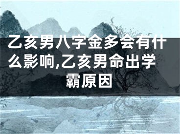乙亥男八字金多会有什么影响,乙亥男命出学霸原因