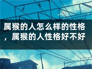 属猴的人怎么样的性格，属猴的人性格好不好
