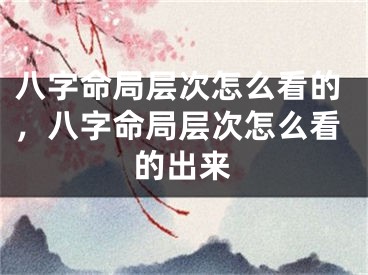 八字命局层次怎么看的，八字命局层次怎么看的出来