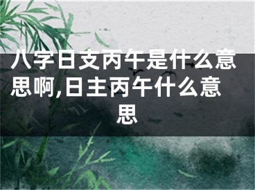 八字日支丙午是什么意思啊,日主丙午什么意思