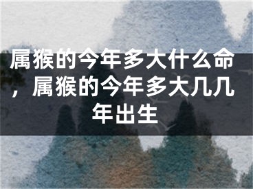属猴的今年多大什么命，属猴的今年多大几几年出生
