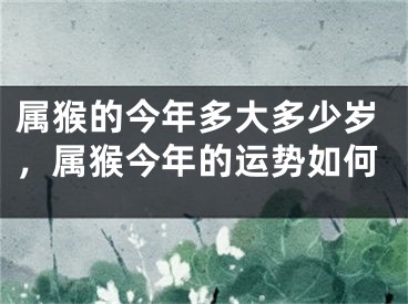 属猴的今年多大多少岁，属猴今年的运势如何