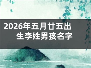 2026年五月廿五出生李姓男孩名字