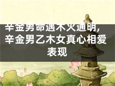 辛金男命遇木火通明,辛金男乙木女真心相爱表现