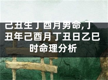 己丑生丁酉月男命,丁丑年己酉月丁丑日乙巳时命理分析
