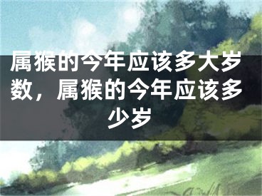 属猴的今年应该多大岁数，属猴的今年应该多少岁