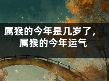 属猴的今年是几岁了，属猴的今年运气