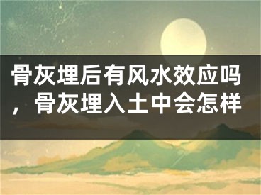 骨灰埋后有风水效应吗，骨灰埋入土中会怎样