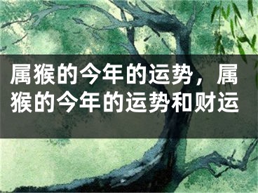属猴的今年的运势，属猴的今年的运势和财运