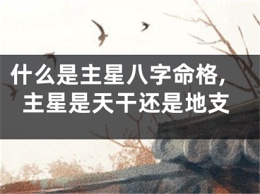 什么是主星八字命格,主星是天干还是地支
