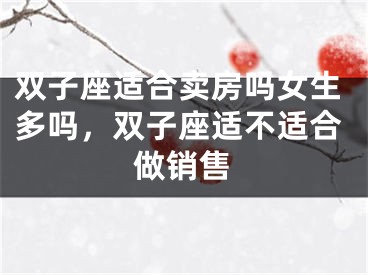 双子座适合卖房吗女生多吗，双子座适不适合做销售