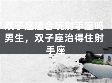 双子座适合玩射手座吗男生，双子座治得住射手座