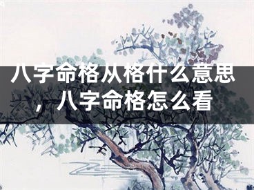 八字命格从格什么意思，八字命格怎么看