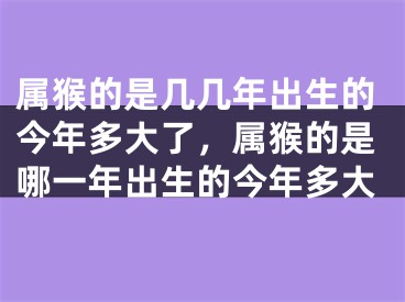 属猴的是几几年出生的今年多大了，属猴的是哪一年出生的今年多大
