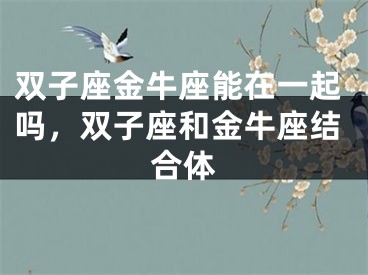双子座金牛座能在一起吗，双子座和金牛座结合体