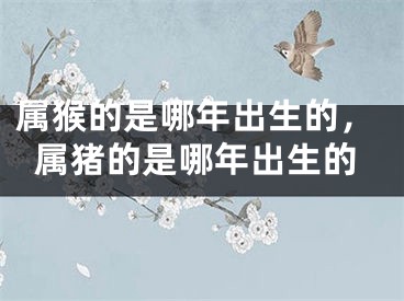 属猴的是哪年出生的,属猪的是哪年出生的