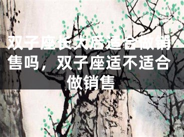 双子座长大后适合做销售吗，双子座适不适合做销售