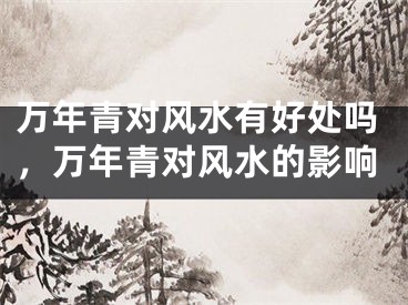 万年青对风水有好处吗，万年青对风水的影响