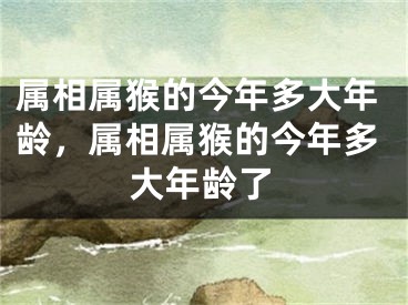 属相属猴的今年多大年龄，属相属猴的今年多大年龄了