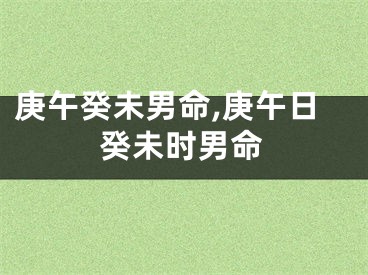 庚午癸未男命,庚午日癸未时男命