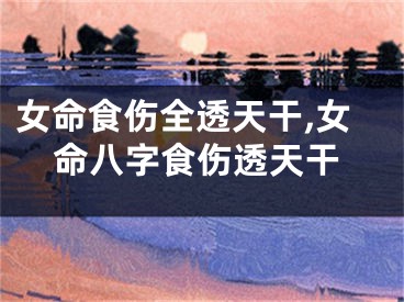 女命食伤全透天干,女命八字食伤透天干