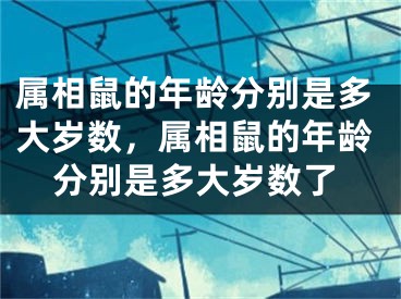 属相鼠的年龄分别是多大岁数，属相鼠的年龄分别是多大岁数了