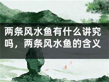两条风水鱼有什么讲究吗，两条风水鱼的含义
