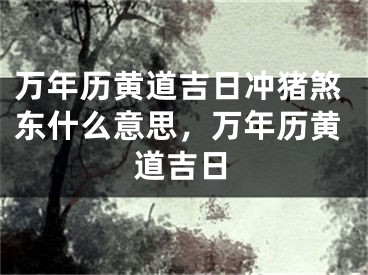 万年历黄道吉日冲猪煞东什么意思，万年历黄道吉日