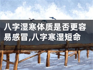 八字湿寒体质是否更容易感冒,八字寒湿短命