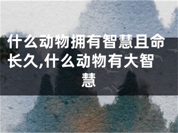 什么动物拥有智慧且命长久,什么动物有大智慧