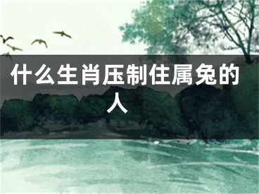 什么生肖压制住属兔的人