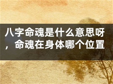 八字命魂是什么意思呀，命魂在身体哪个位置