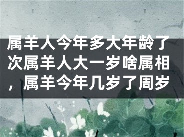 属羊人今年多大年龄了次属羊人大一岁啥属相,属羊今年几岁了周岁