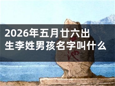 2026年五月廿六出生李姓男孩名字叫什么