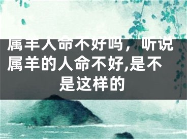 属羊人命不好吗,听说属羊的人命不好,是不是这样的