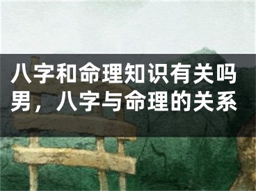 八字和命理知识有关吗男，八字与命理的关系
